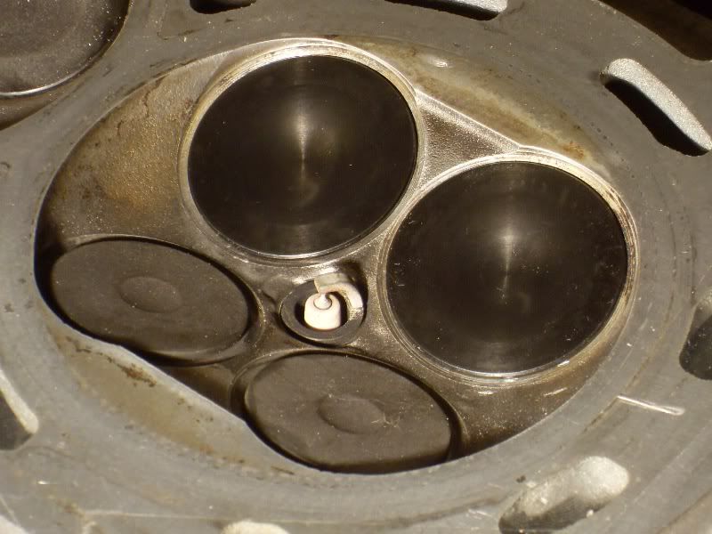 My D23 Engine Build for 2011 race season. Page 5 Focus Fanatics Forum